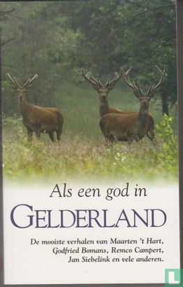 Als een God in Gelderland - Image 1