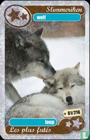 silver star : wolf