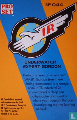 Underwater expert Gordon - Image 2