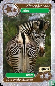 silver star :zebra