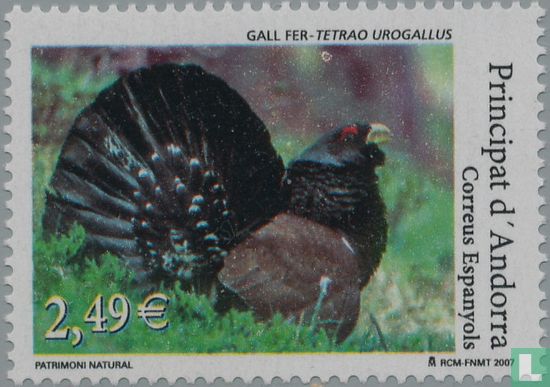 Vögel