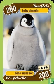 baby pinguin