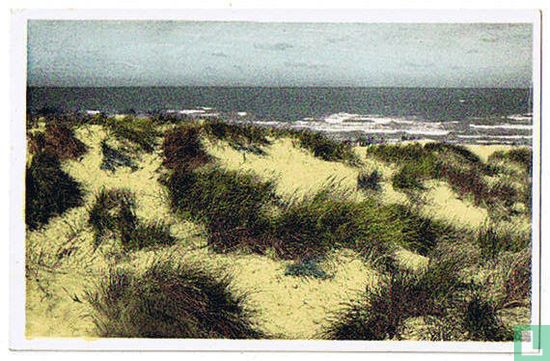 Duinen en zee - Les dunes, rempart de la mer