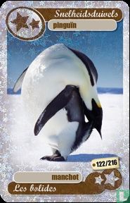 silver star : pinguin