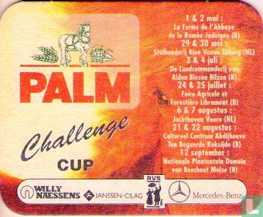 Challenge Cup - Image 1