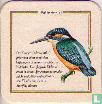 Der Eisvogel 3 Bier - Image 1