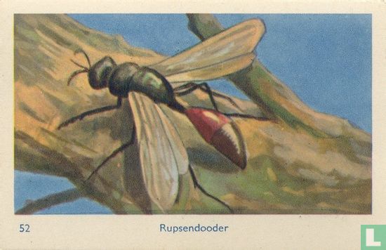 Rupsendooder - Image 1