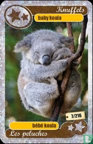 silver star : baby koala