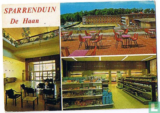 Sparrenduin - De Haan