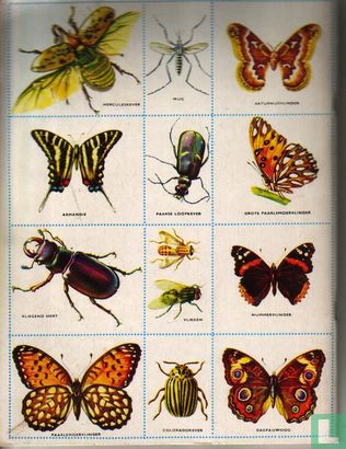 De insekten - Image 2