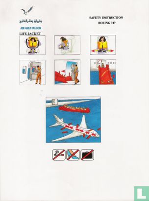 Air Gulf Falcon - 747 (01) - Image 2