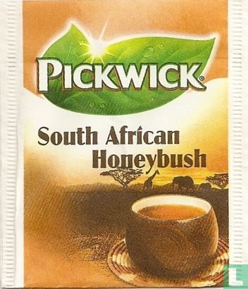 South African Honeybush - Afbeelding 1