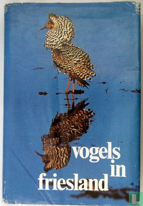 Vogels in Friesland I - Image 1