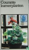 Courante kamerplanten - Afbeelding 1