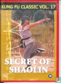 Secret of Shaolin - Afbeelding 1