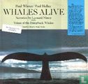 Whales Alive  - Image 1