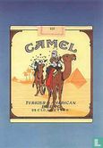 Camel - Afbeelding 1