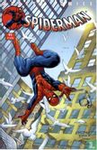 Spiderman 91 - Afbeelding 1