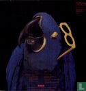 The real macaw - Image 2