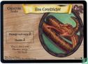 Boa Constrictor - Bild 1
