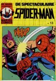 De spectaculaire Spider-Man 13 - Bild 1