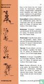 Zak-encyclopedie van de kruidengeneeskunde - Image 3