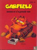 Garfield neemt er z'n gemak van - Image 1