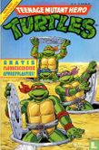 Turtles 13 - Afbeelding 1