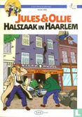 Halszaak in Haarlem - Afbeelding 1