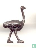Ostrich - Image 1