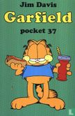 Garfield pocket 37 - Image 1