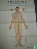 Standard meridian points of acupuncture - Afbeelding 1