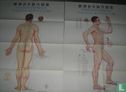 Standard meridian points of acupuncture - Image 2