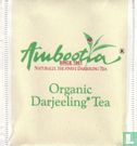 Darjeeling Tea - Bild 1