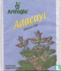 Adaçayi  - Afbeelding 1