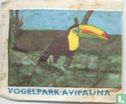 Toekan - Vogelpark Avifauna - Image 1