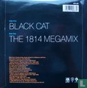Black cat - Image 2