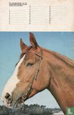 Ponyclub 48 - Image 2