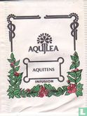 Aquitens - Afbeelding 1