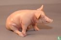 Pig sow sitting - Image 2