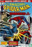 The Amazing Spider-Man - Afbeelding 1
