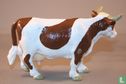 Brown White Cow - Image 2
