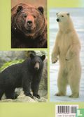 Bears - Bild 2