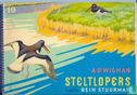 Steltlopers - Image 1