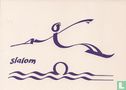 B000631 - Waterskischool Loosdrecht "slalom" - Afbeelding 1