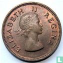 Afrique du Sud ½ penny 1955 - Image 2