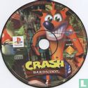 Crash Bandicoot - Bild 3
