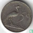 South Africa 5 cents 1981 - Image 2
