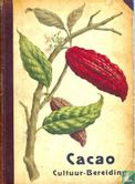 Cacao Cultuur-Bereiding - Afbeelding 1