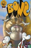 Bone 31